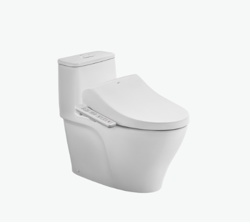 Bàn cầu Inax kết hợp nắp rửa điện tử AC-989+CW-H17VN