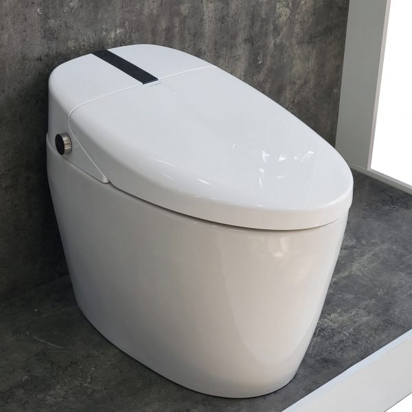 Bồn Cầu Thông Minh Kante KT-9960
