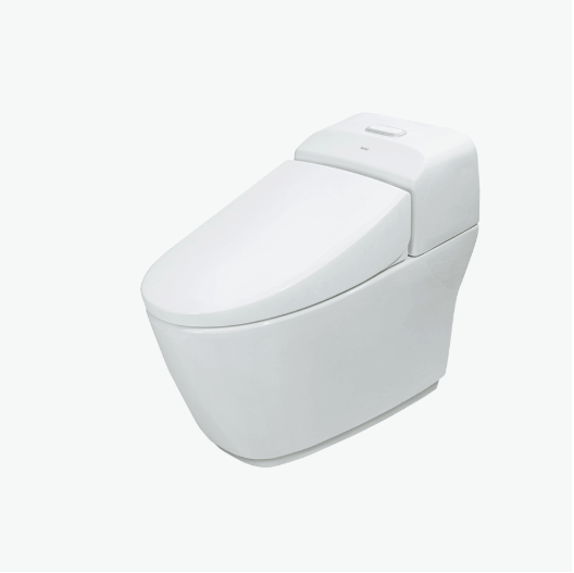 Bồn Cầu Inax AC-1032VN