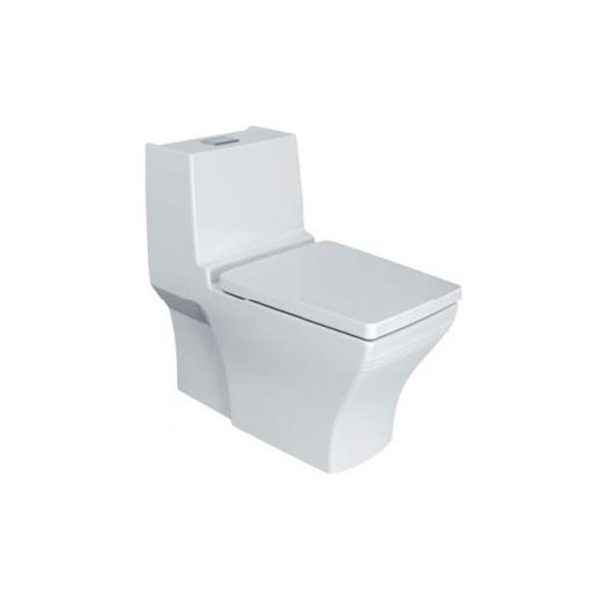 Bồn Cầu 1 Khối American WP-2060