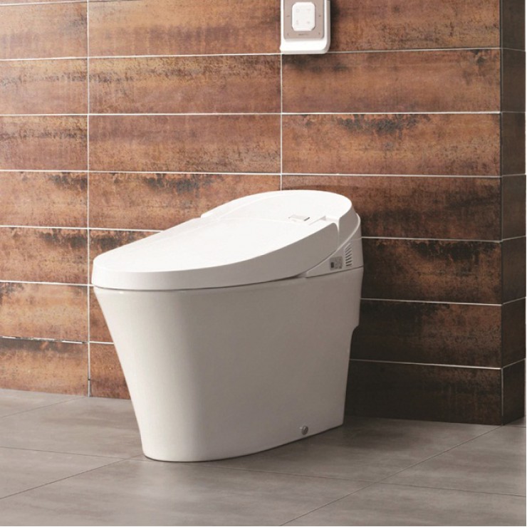Bàn Cầu Thông Minh Viglacera V91