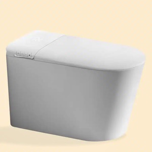 Bồn Cầu Thông Minh Kante KT-9973A