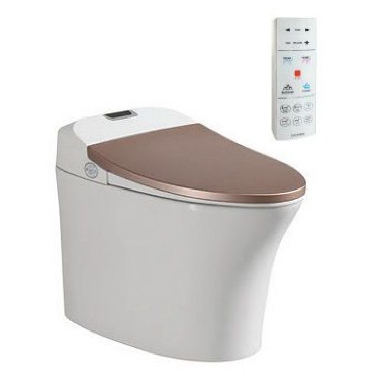 Bàn cầu thông minh Viglacera V93GW