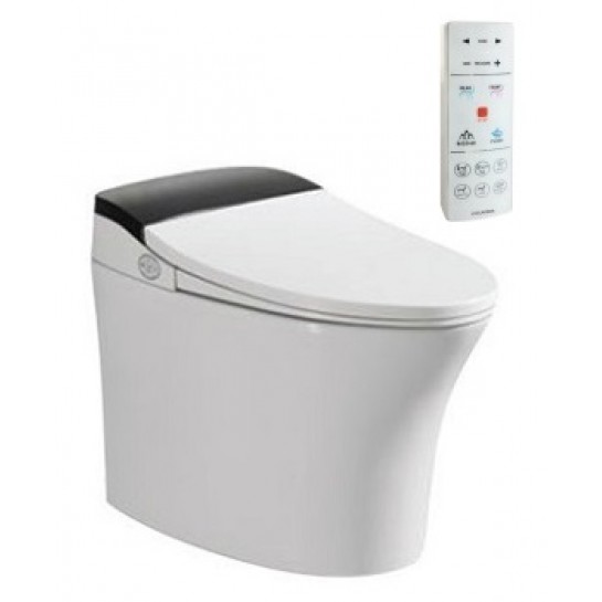 Bàn cầu thông minh Viglacera V93WB