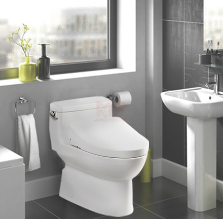 Bồn Cầu Kết Hợp Nắp Rửa Washlet TOTO MS884W11