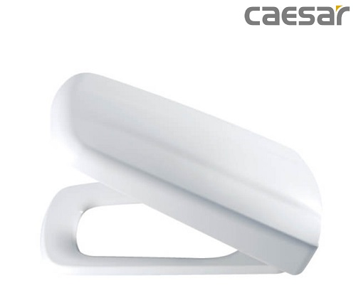Nắp Bồn Cầu Đóng Êm Caesar M236