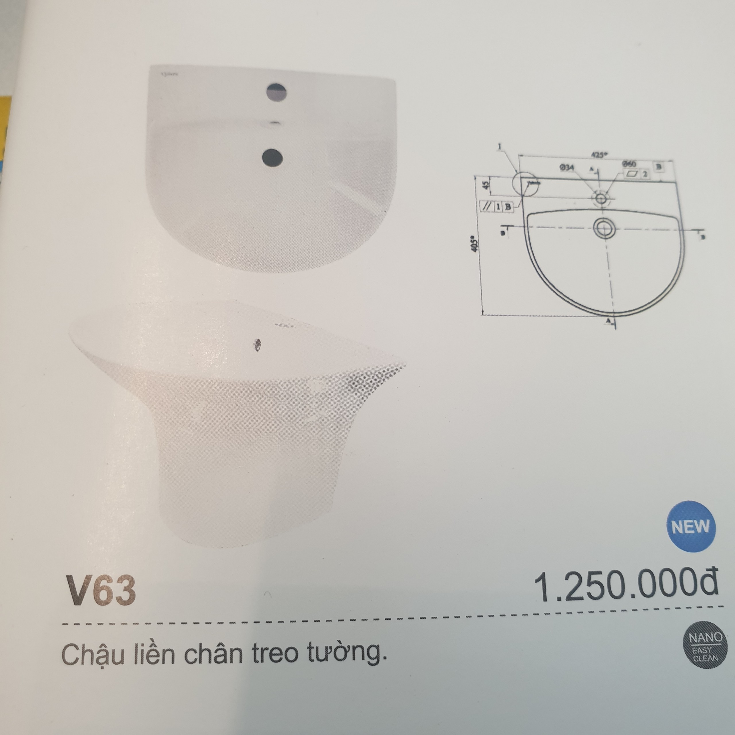 Chậu Viglacera mã V63