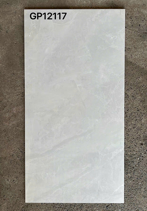 Gạch ốp lát Taicera 60×120 GP12117