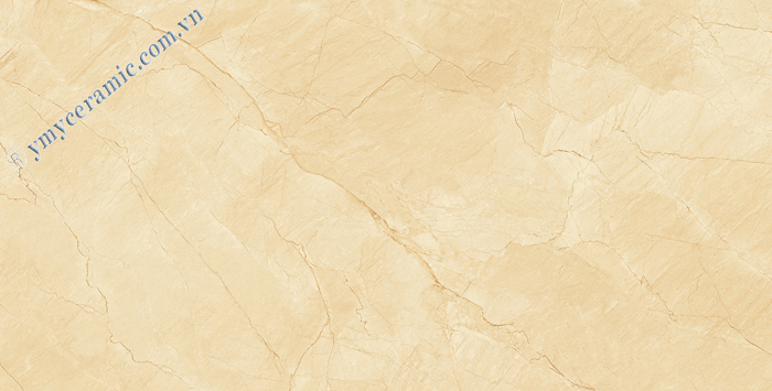 Gạch ốp lát Ý Mỹ 60×120 P6128011C
