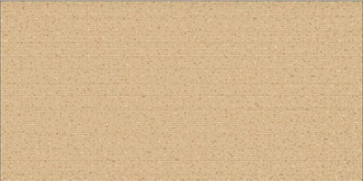 Gạch Vitto 30×60 D229
