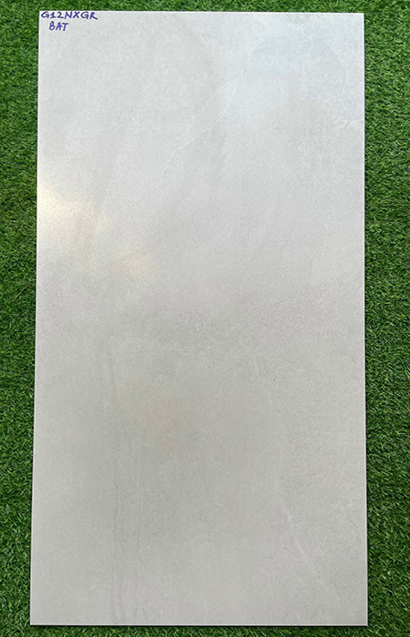 Gạch Taicera 60×120 đá mờ 2 da G12NXGR