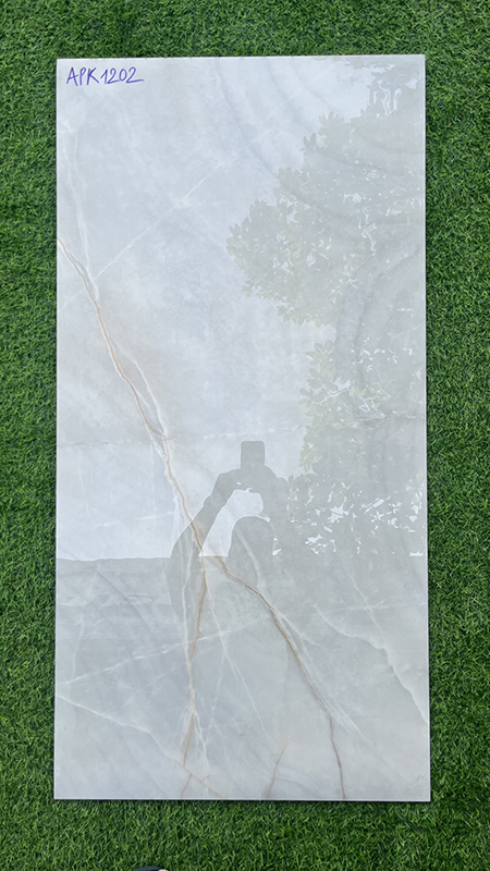 Gạch ốp lát Ấn Độ 60×120 APK1202