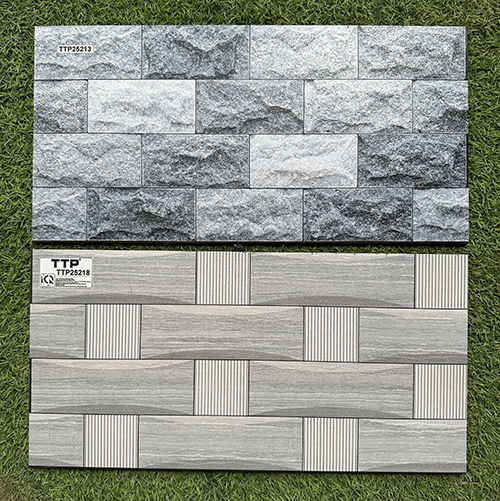 Gạch trang trí 25×50 giá rẻ men nhám TTP25213-25218