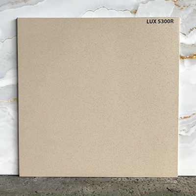 Đá lát sân vườn 50×50 LUX5300R