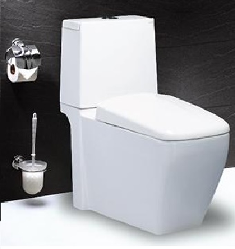 Bồn cầu Caesar CD1346 nắp êm