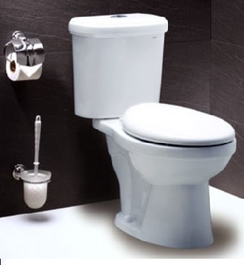 Bồn cầu Caesar CDS1338 nắp êm