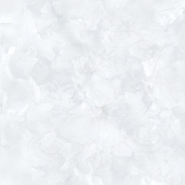 Gạch Prime 60×60 15623