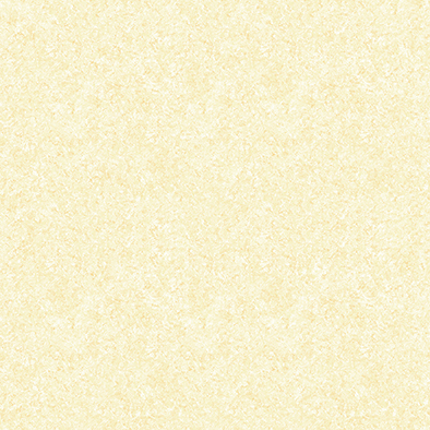 Gạch Prime 60×60 1606