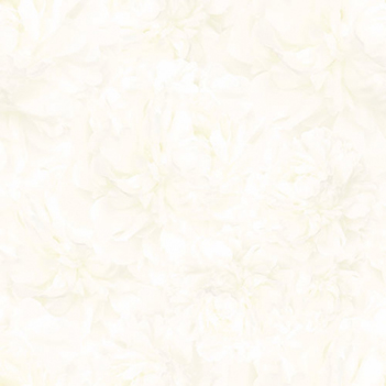 Gạch Prime 60×60 9017