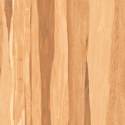 Gạch Prime 60×60 9851
