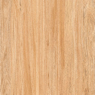 Gạch Prime 60×60 9854