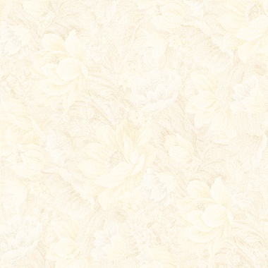 Gạch Prime 60×60 9892