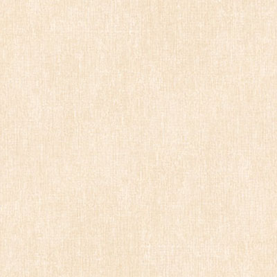Gạch Prime 60×60 9908