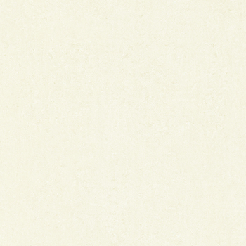 Gạch Prime 60×60 9954