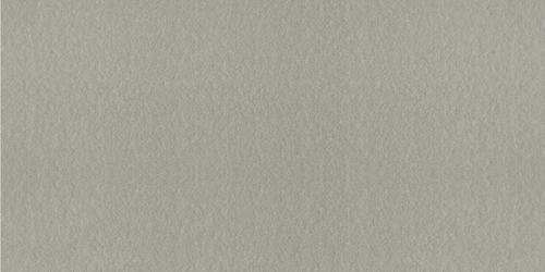 Gạch Taicera 30×60 G63548