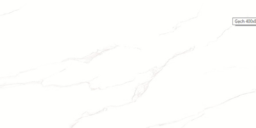 Gạch Tasa 40×80 4803