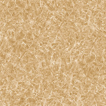 Gạch Tasa 60×60 TS 6017