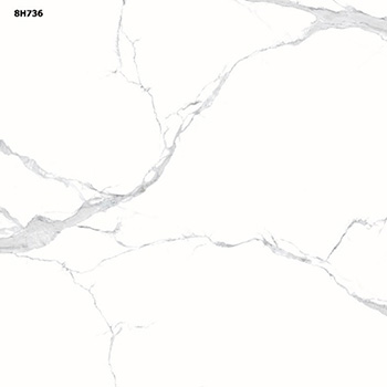 Gạch Vitto 60×60 8H736