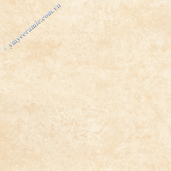 Gạch Ý Mỹ 60×60 AC65018H