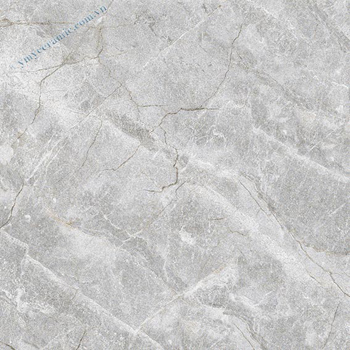 Gạch Ý Mỹ 60×60 P65011C