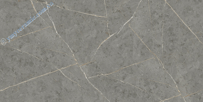 Gạch ốp lát Ý Mỹ 60×120 P6128005