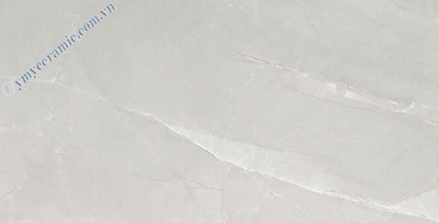 Gạch ốp lát Ý Mỹ 60×120 P6128006