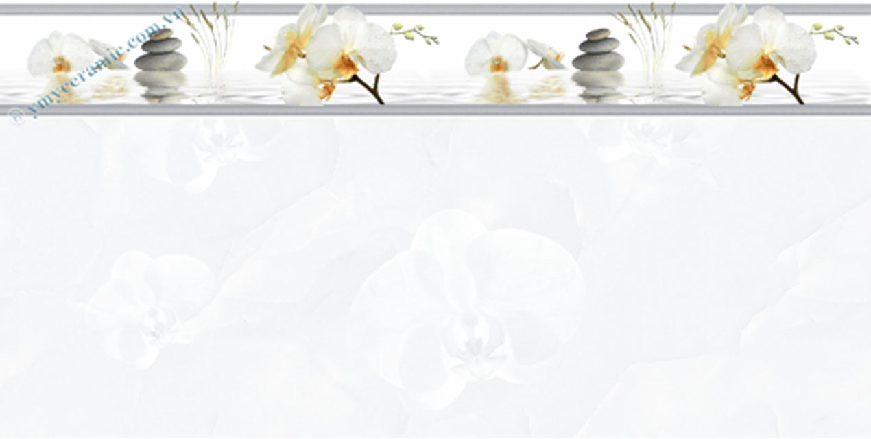 Gạch ốp tường Ý Mỹ 30×60 A36020L