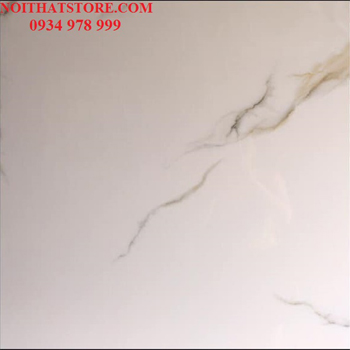 Gạch vi tinh ngọc thạch Ấn Độ 80×80 VA88018