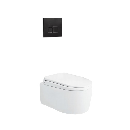 Bồn cầu âm tường Viglacera V55