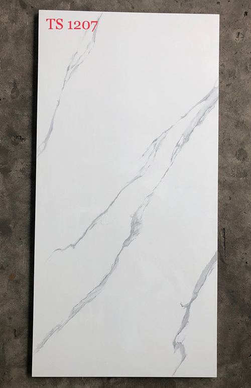 Gạch ốp lát Tasa 60×120 TS1207