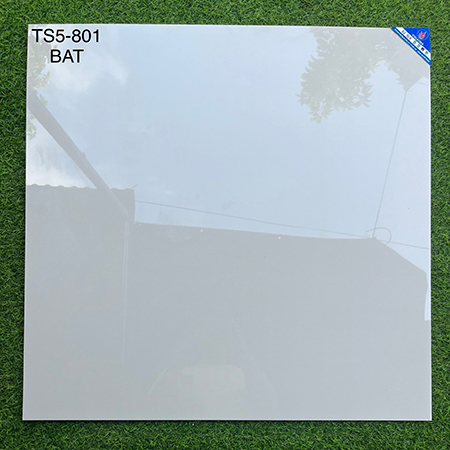 Đá 2 da Viglacera 80×80 TS5-801