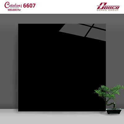 Đá bóng kính Catalan 60×60 CTN 6607