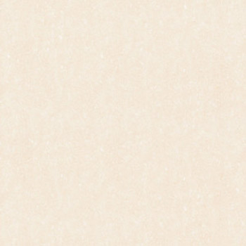 Đá bóng kính toàn phần Prime 80×80 8706