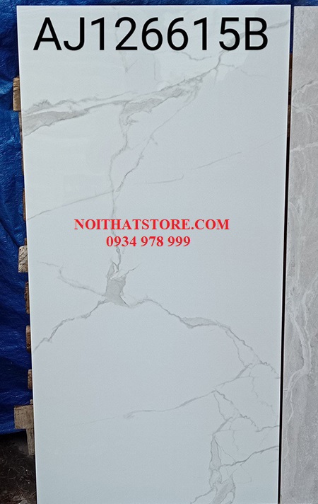 Đá bóng kính Trung Quốc 60×120 AJ126615B