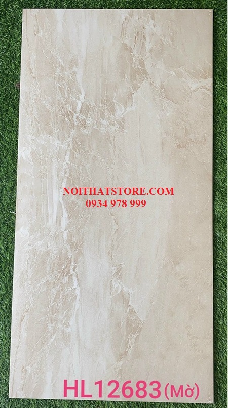 Đá đồng chất mờ Trung Quốc 60×120 HL12683