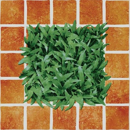 Đá lát nền Đồng Tâm 40×40 CLG002