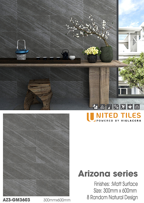 Đá mờ ốp tường Viglacera 300×600 AZ3-GM3603