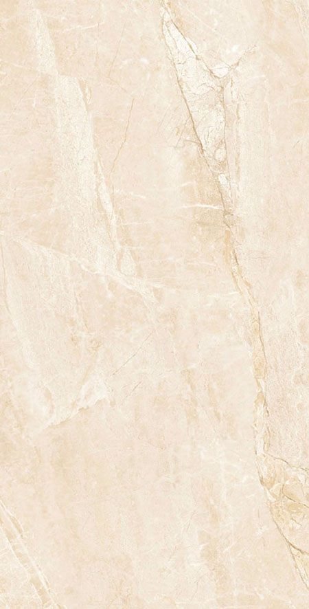 Gạch Takao 60×120 32101