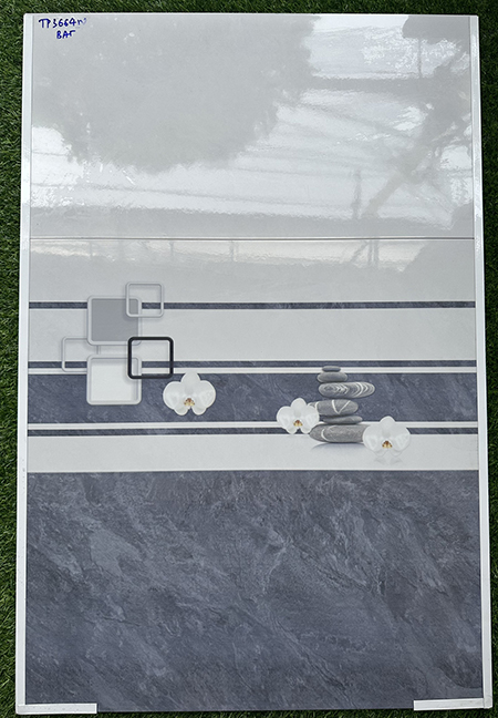 Gạch ốp tường giá rẻ 30×60 TP3664