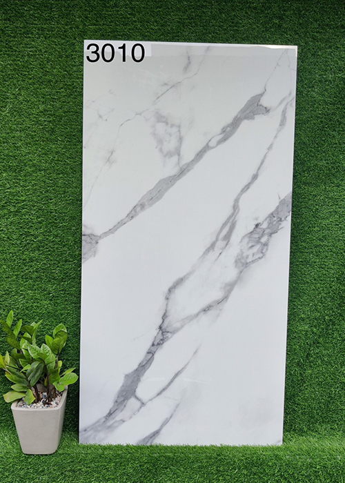 Gạch 60×120 Ấn Độ 3010